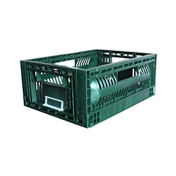 ZJTY403017W small size 400*300*170 mm fruit use crate plastic material vegetable basket